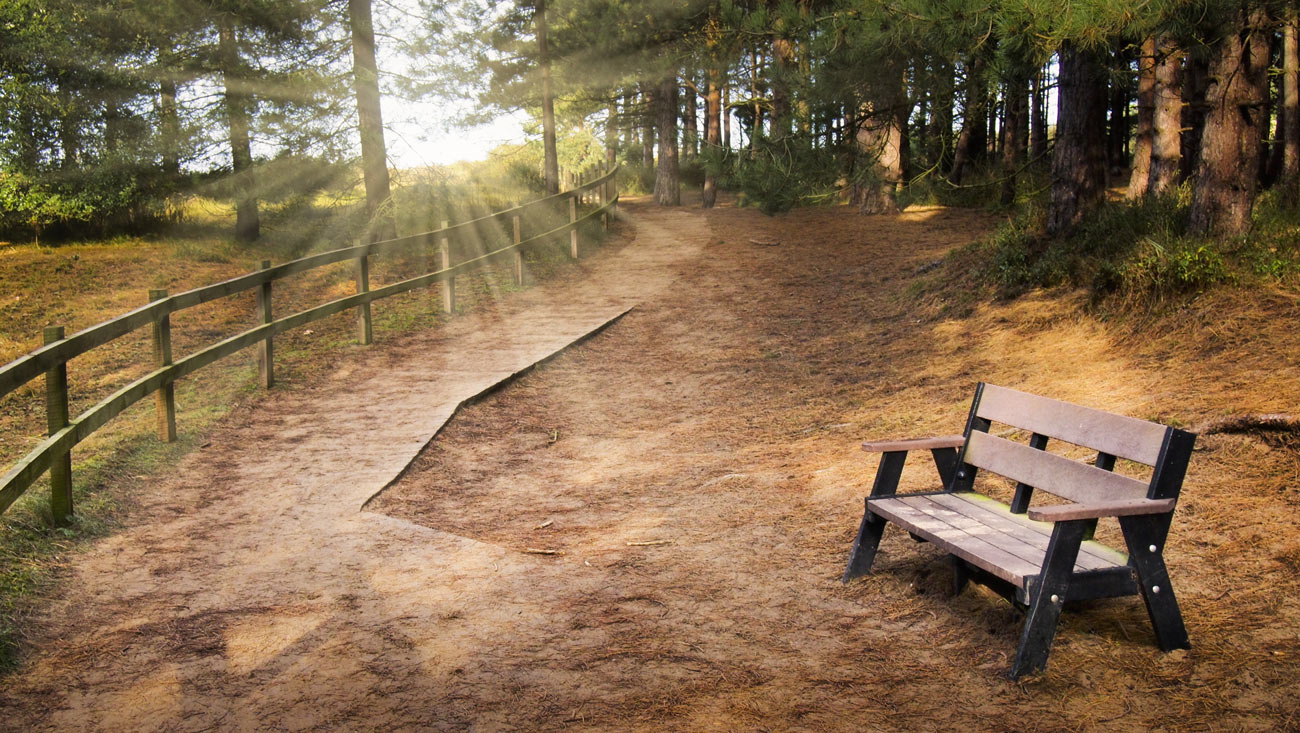 Scenic view and bench